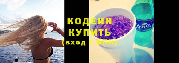 мяу мяу мука Аркадак