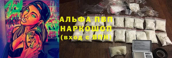 мяу мяу мука Аркадак
