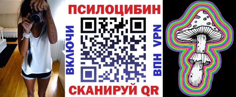 Купить где  Багратионовск  Галлюциногенные грибы Psilocybe 